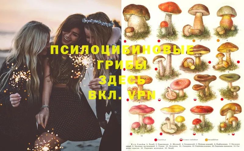 Псилоцибиновые грибы Magic Shrooms  сколько стоит  kraken сайт  Белоозёрский 